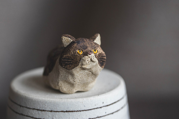 アウトロー【猫_976】 2枚目の画像