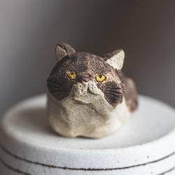 アウトロー【猫_976】 1枚目の画像