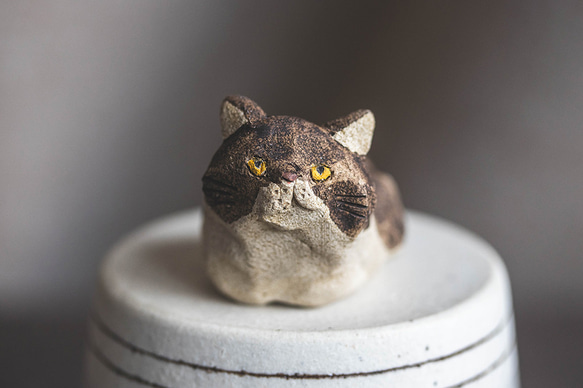 アウトロー【猫_976】 1枚目の画像