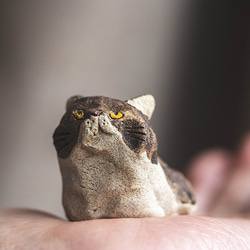 アウトロー【猫_976】 6枚目の画像