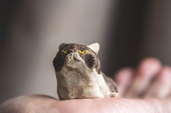 アウトロー【猫_976】 6枚目の画像