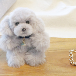 トイプードル マルプー モールドール 犬 モカ ぬいぐるみ ぬい活