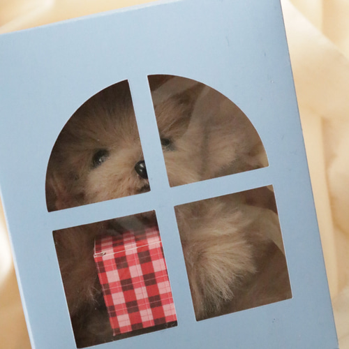 再々販オーダー受付‼️終了‼️】パネル生地 442 ⚮ お守り☆強運わんこ