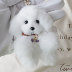 レアパネル生地　トイプードル　強運お守り両面　ハンドメイド レアパネル生地 トイプードル 強運お守り両面 ハンドメイド