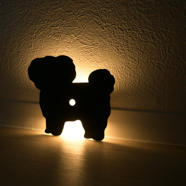 人感センサー　ウォールライト　マルチーズ