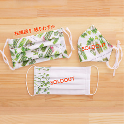 山菜マスク 2枚目の画像