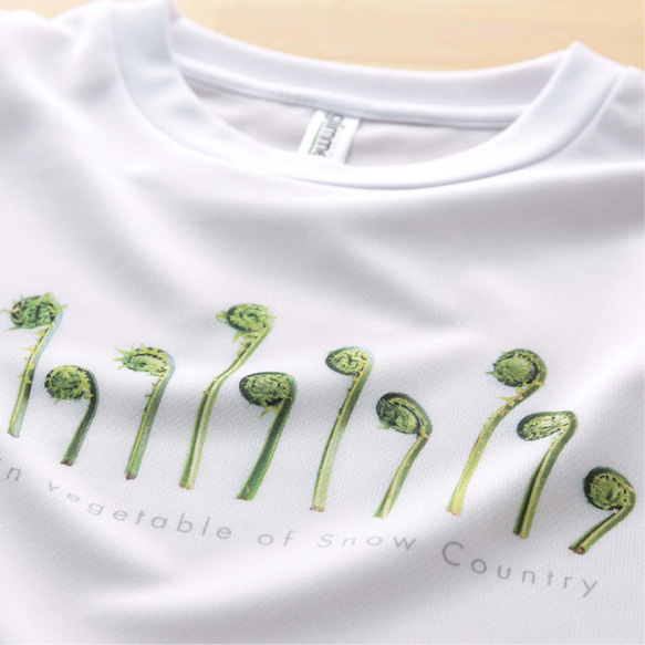 ［着る山菜］こごめTシャツ（ホワイト） 11枚目の画像