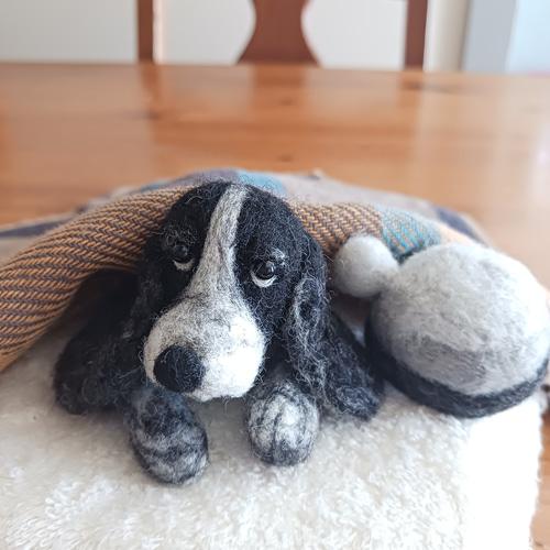 受注作品イングリッシュコッカースパニエル(寝そベリ) 羊毛フェルト