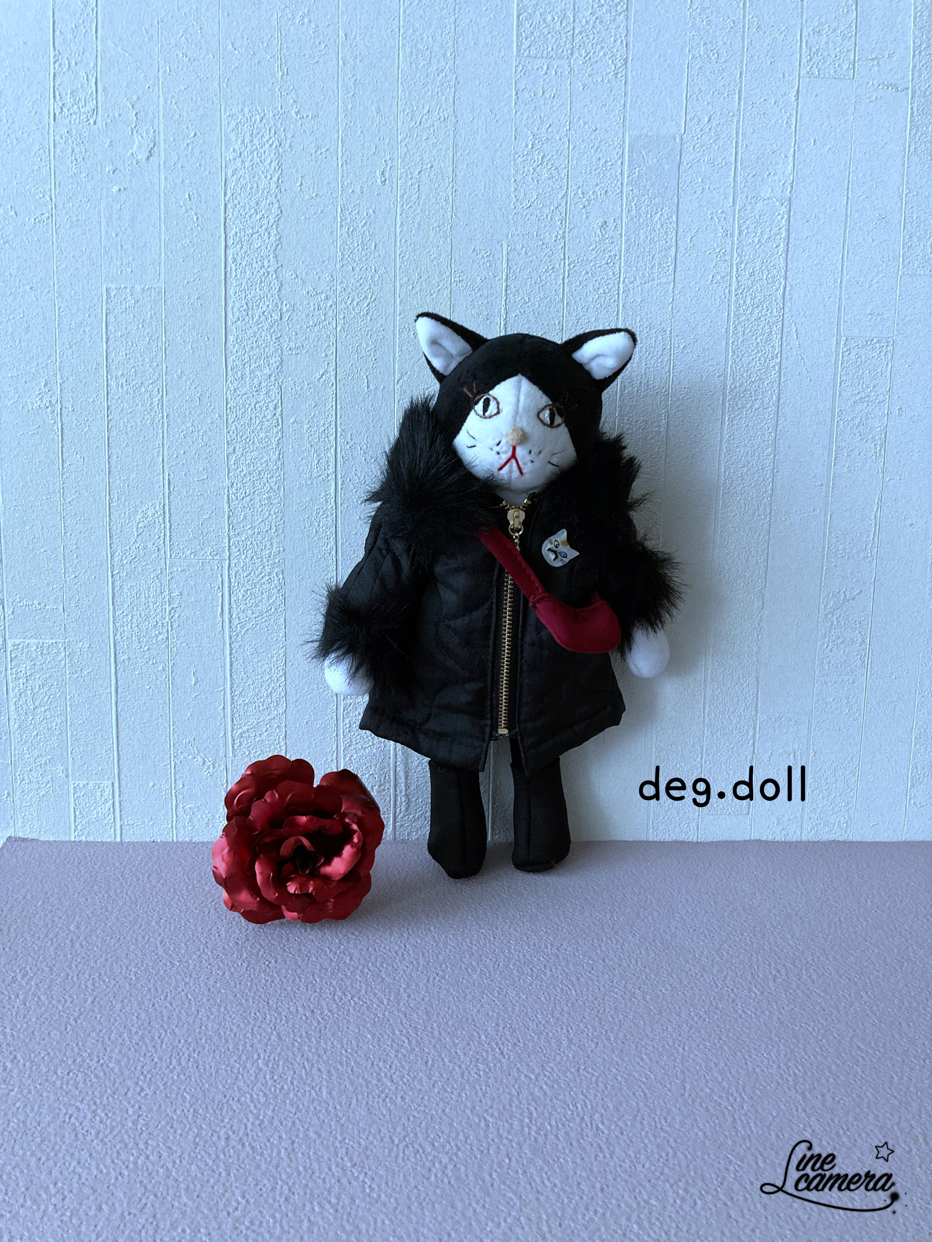 白黒のハチワレちゃん