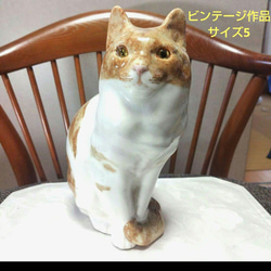 ウィンスタンレイキャット（ケンジントンキャット）サイズ5