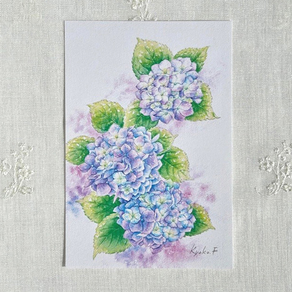 ポストカード　お好きな4枚セット〔No.49 雨上がりのあじさい〕 1枚目の画像