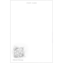 ポストカード　お好きな4枚セット〔No.49 雨上がりのあじさい〕 4枚目の画像