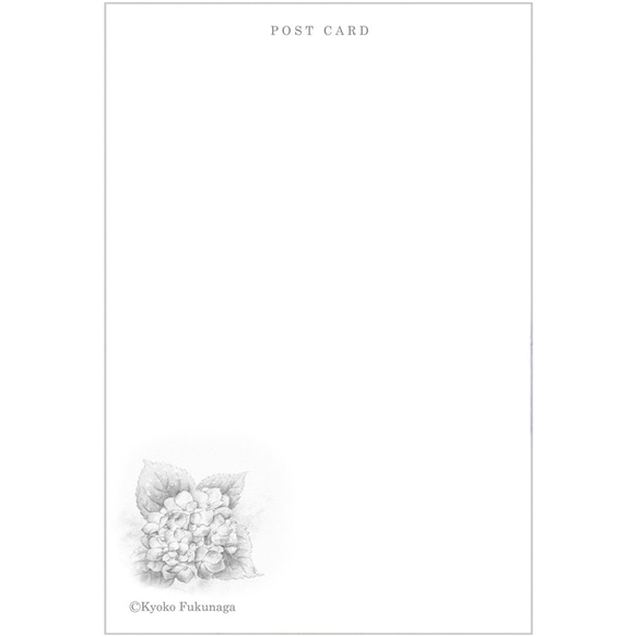 ポストカード　お好きな4枚セット〔No.49 雨上がりのあじさい〕 4枚目の画像