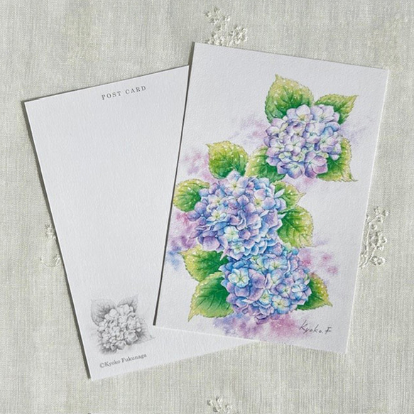 ポストカード　お好きな4枚セット〔No.49 雨上がりのあじさい〕 2枚目の画像