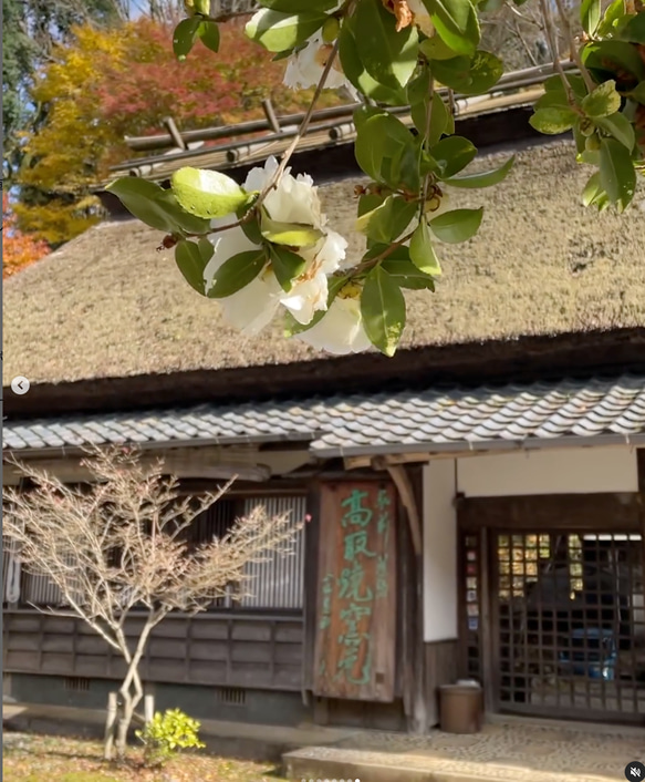 高取焼 高取焼き ビアカップ フリーカップ 筑前茶陶高取焼 高取八仙窯 陶器 食器 19枚目の画像