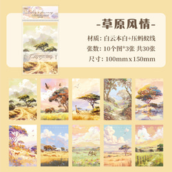  第3張的照片