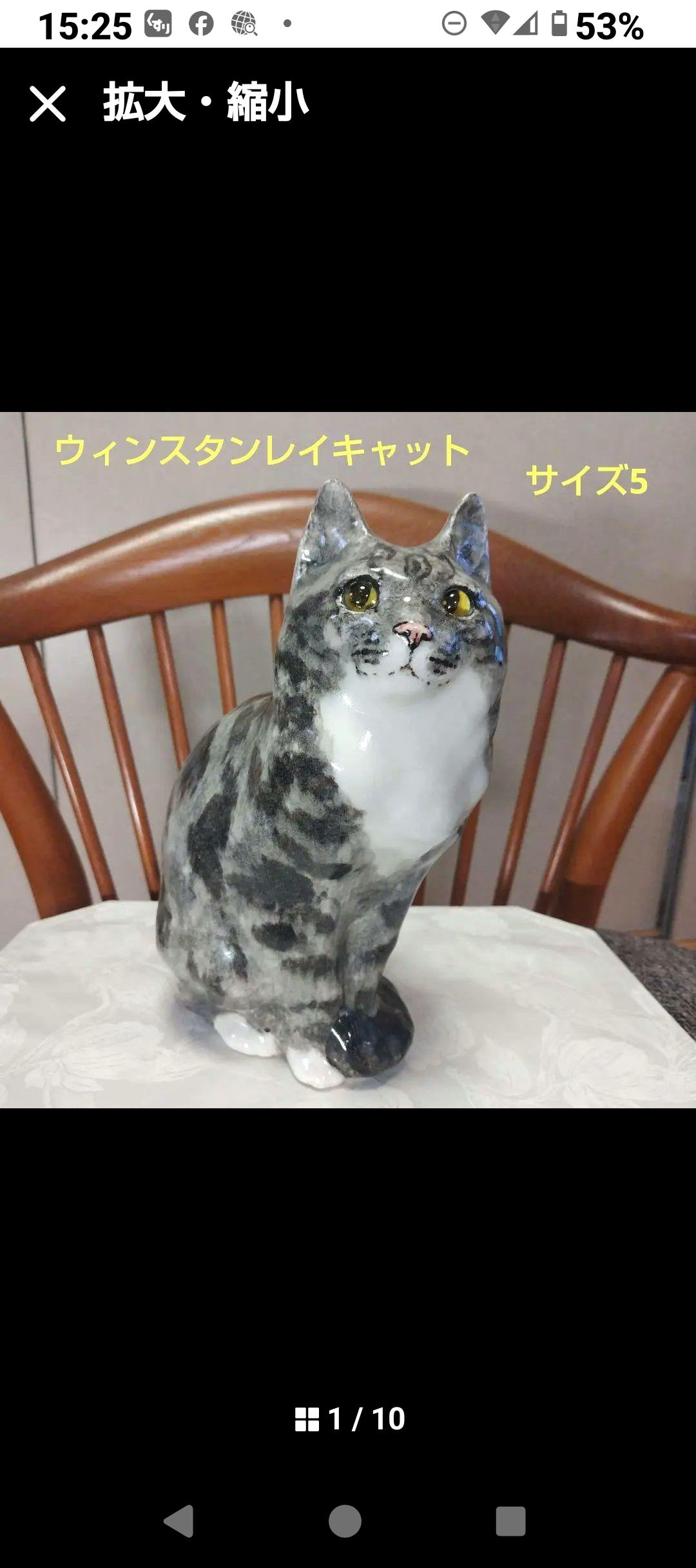 ウィンスタンレイキャット（ケンジントンキャット）サイズ５の大きな猫 ウィンスタンレイキャット（ケンジントンキャット）サイズ5の