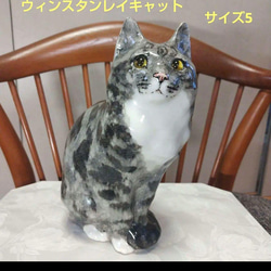 ウィンスタンレイキャット（ケンジントンキャット）サイズ5