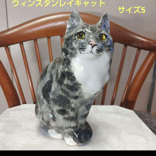 ウィンスタンレイキャット（ケンジントンキャット）サイズ5