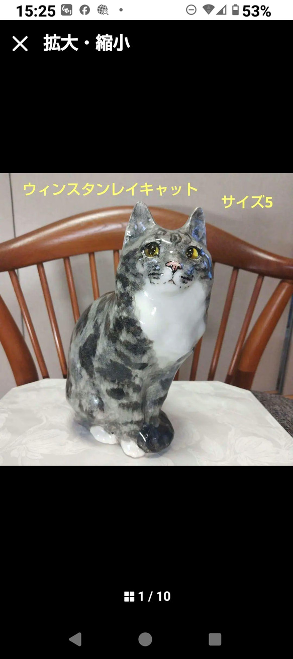 ウィンスタンレイキャット（ケンジントンキャット）サイズ5
