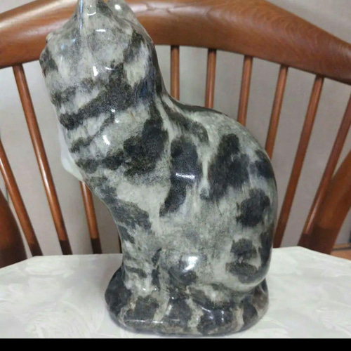 ウィンスタンレイキャット（ケンジントンキャット）サイズ5