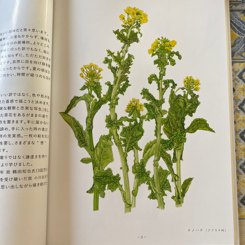 草花の植物画 Kyoko Suzuki 絵画 きょん 通販 18926131｜Creema