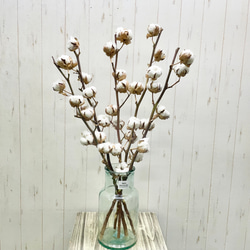 171809206c34d832a6025c6251f186