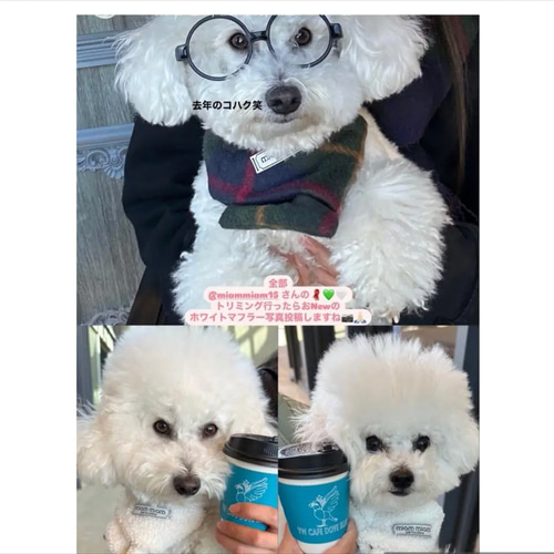 犬用マフラー 紺マルチチェック 犬用アクセサリー 犬用スヌード 犬用