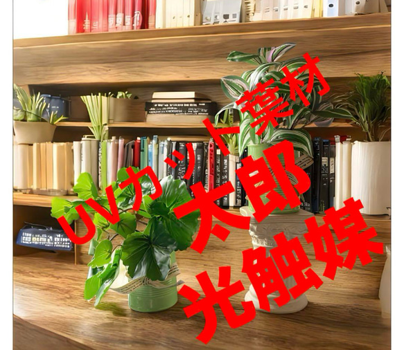 光触媒　人工観葉植物　ウォールグリーン　フェイクグリーン　ゼラニュームとトラカン 1枚目の画像