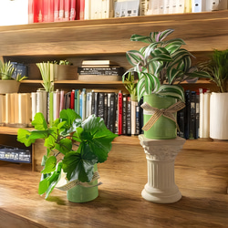 光触媒　人工観葉植物　ウォールグリーン　フェイクグリーン　ゼラニュームとトラカン 2枚目の画像