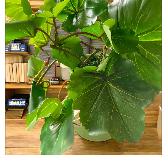 光触媒　人工観葉植物　ウォールグリーン　フェイクグリーン　ゼラニュームとトラカン 4枚目の画像