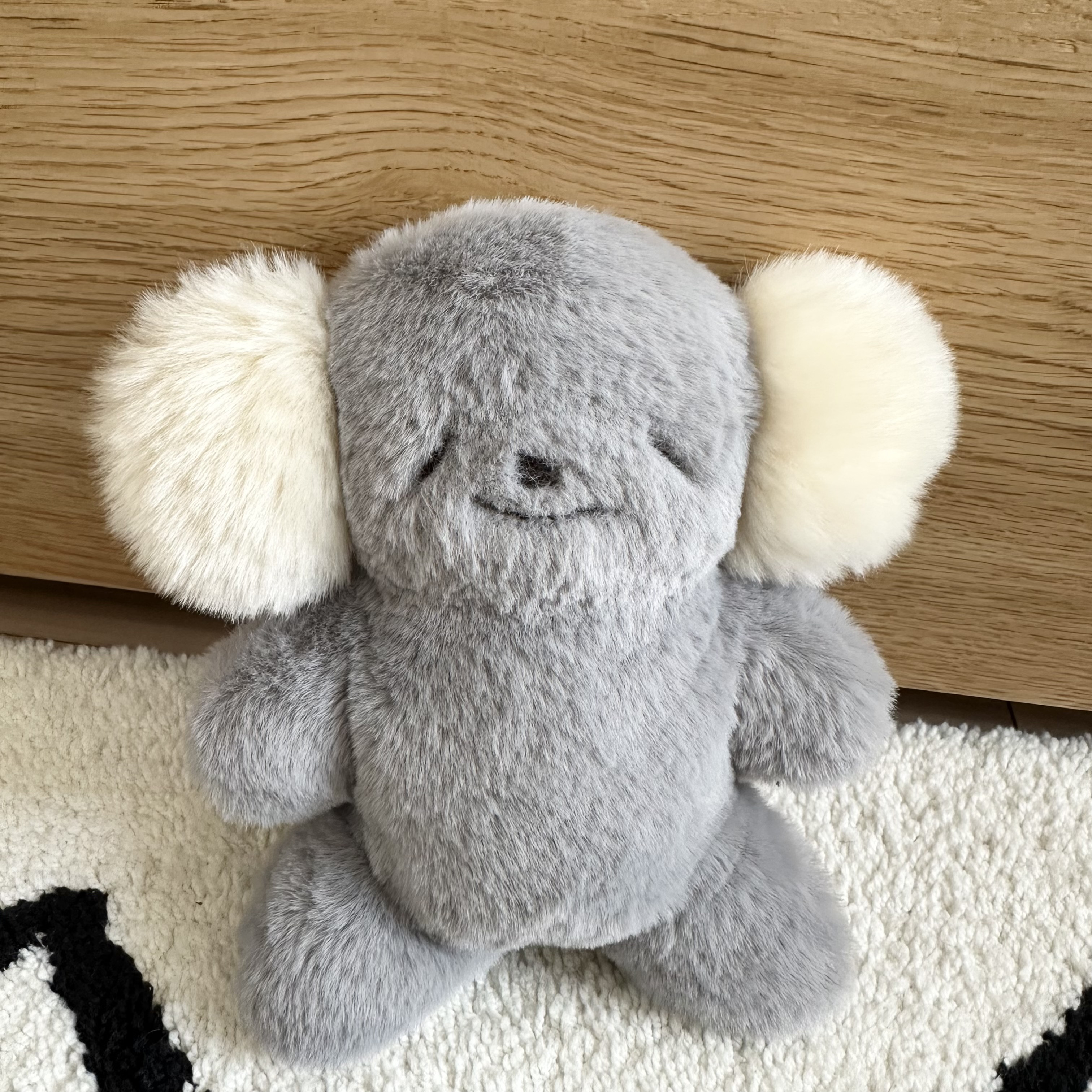 もふもふコアラ