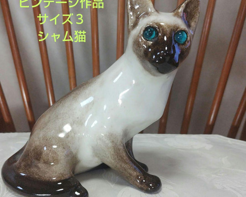 シャム猫、ウィンスタンレイキャット（ケンジントンキャット）サイズ3