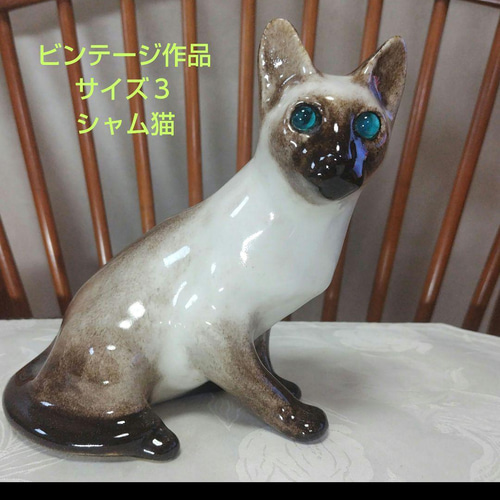 シャム猫、ウィンスタンレイキャット（ケンジントンキャット）サイズ3