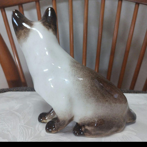 シャム猫、ウィンスタンレイキャット（ケンジントンキャット）サイズ3