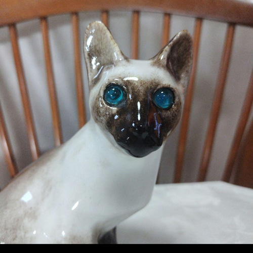 ウィンスタンレイキャット ケンジントンキャット 寒色系シャム猫