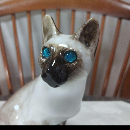 シャム猫、ウィンスタンレイキャット（ケンジントンキャット）サイズ3