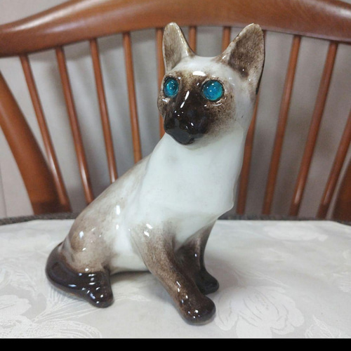 シャム猫、ウィンスタンレイキャット（ケンジントンキャット）サイズ3