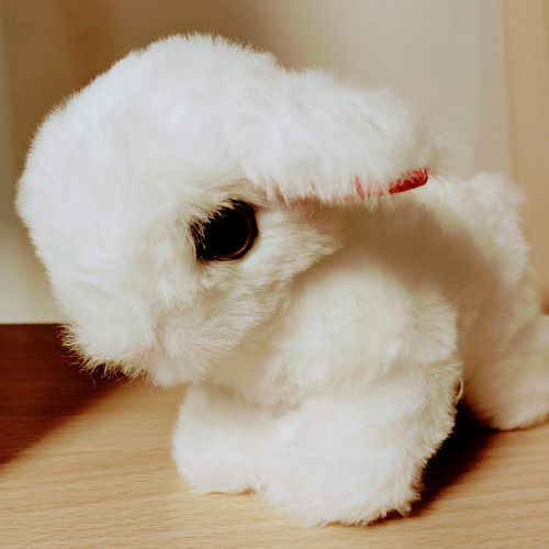 大きな瞳の珊瑚色のフワフワ小ヤギ ぬいぐるみ ぬくのこ 通販 18928683