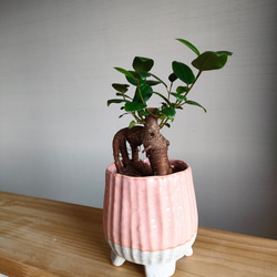 鉢カバー・小　素敵な陶器鉢　観葉植物ポット　ガーデニング　カラフルポット 3枚目の画像