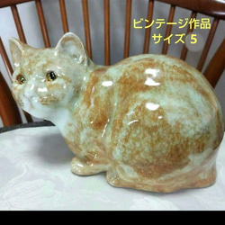 ウィンスタンレイキャット(ケンジントンキャット)ジンジャー猫