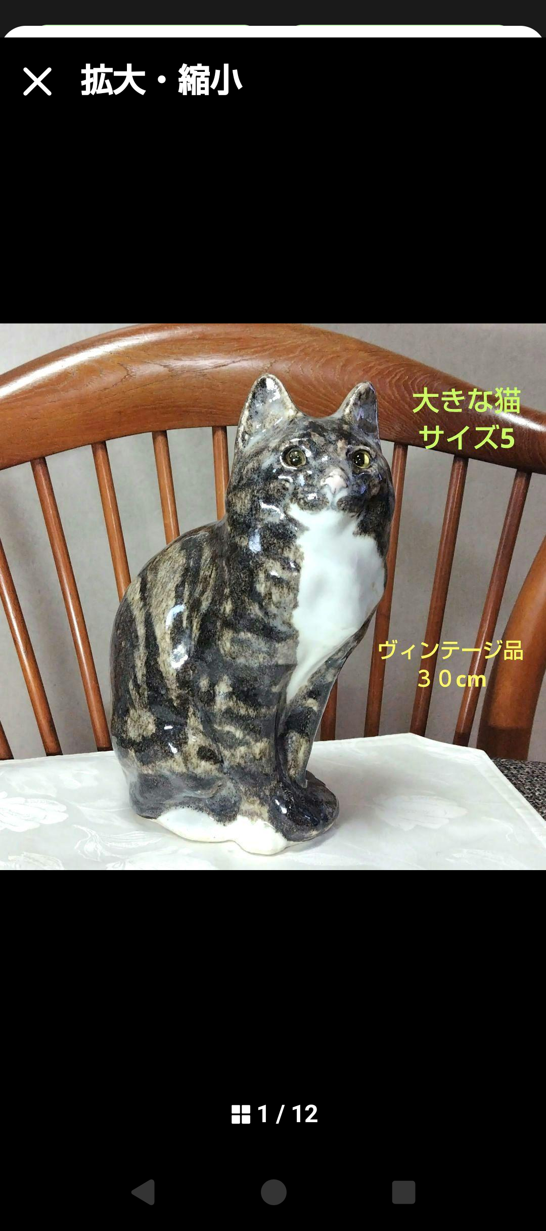 大きなサイズ5のペルシャ猫、ウィンスタンレイキャット(ケンジントンキャット)