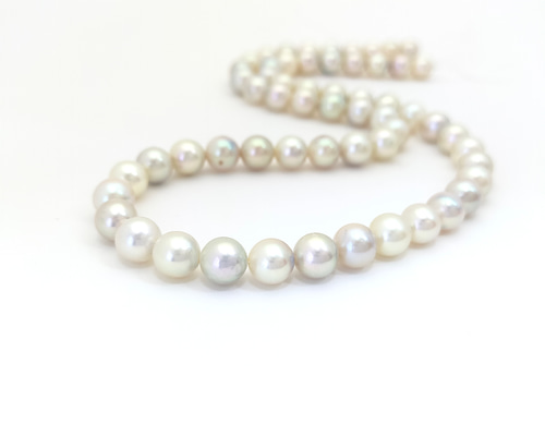 ネックレス用あこや真珠 ナチュラルカラー 連 7.0mm 約40cm 素材