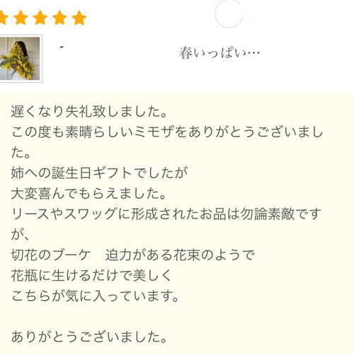 2026／3月下旬】迫力‼︎春いっぱいフレッシュmimosa Big 1本 〜 20