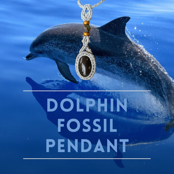 イルカの大きい耳骨化石　ネックレス　大きい個体 イルカの耳骨｜南房総いいもの屋