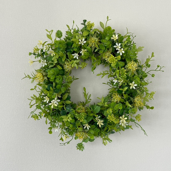 未使用品　グリーンリーフのリース 草原のグリーンリース リース AilesBlanches 通販 18931592