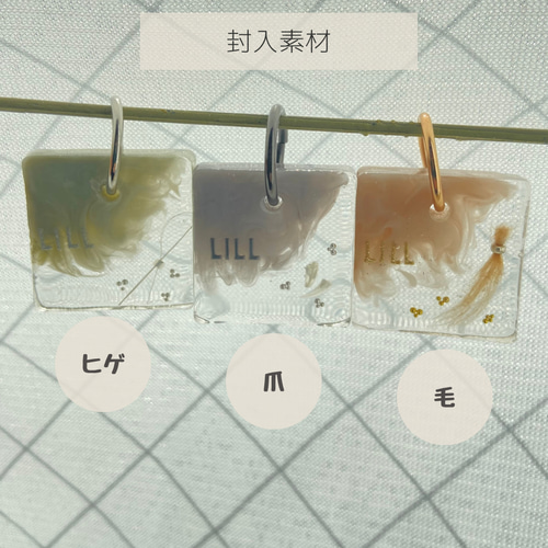 うちの子素材】『スターチス』名入れ可 ペットの毛・ヒゲ・羽・爪