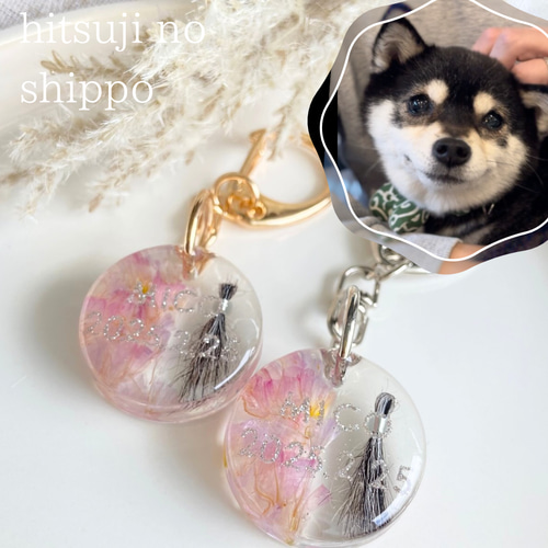 うちの子素材】『スターチス』名入れ可 ペットの毛・ヒゲ・羽・爪