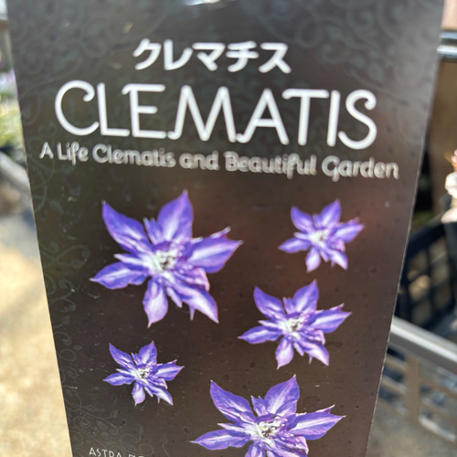 クレマチス＊ クレマファクトリーさん育種 9種 その他素材 Comu