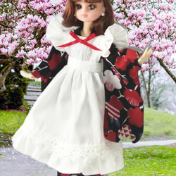 ③オーバーニーソックスセット　リカちゃん　ブライス 41iWrfyWBhL._UF350,350_QL50_.jpg